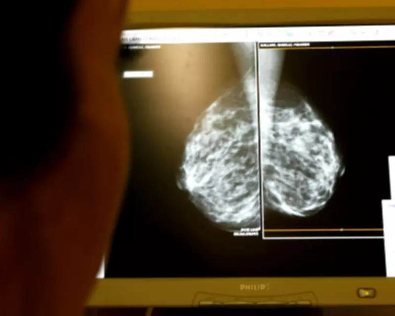 AI in Breast Cancer Screening Boosts Early Detection by 12%, Landmark Study Reveals