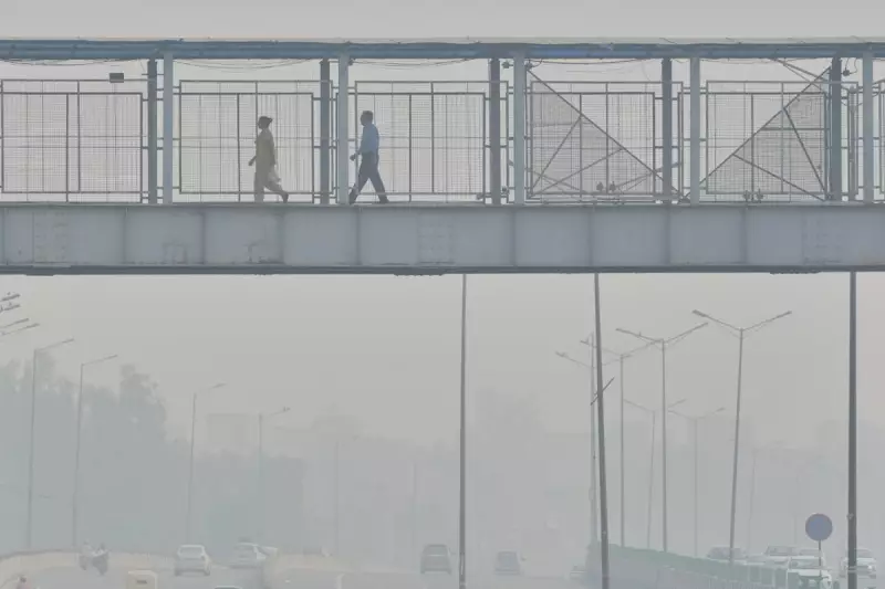 Air Pollution's Devastating Impact on Every Major Human Body System