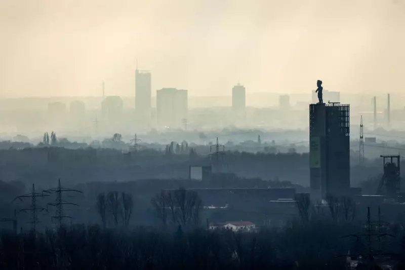 Air Pollution's Systemic Harm: How Ozone and PM2.5 Damage Every Major Organ System
