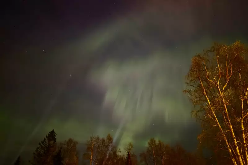 Alaska's Aurora Borealis: A Dazzling Green and Red Spectacle