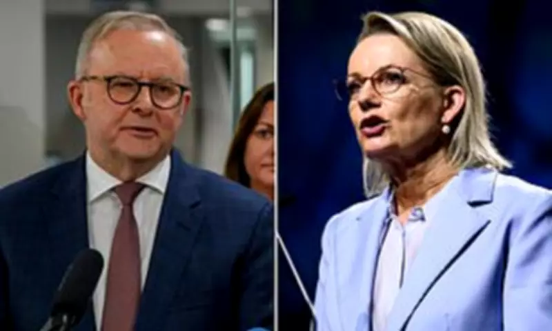 Albanese Mocks 'Shambolic' Liberals Amid Leadership Turmoil and Secret Breakfast Plot