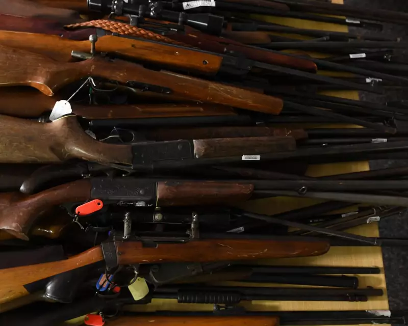 Albanese Pushes National Gun Buyback Amid State Resistance