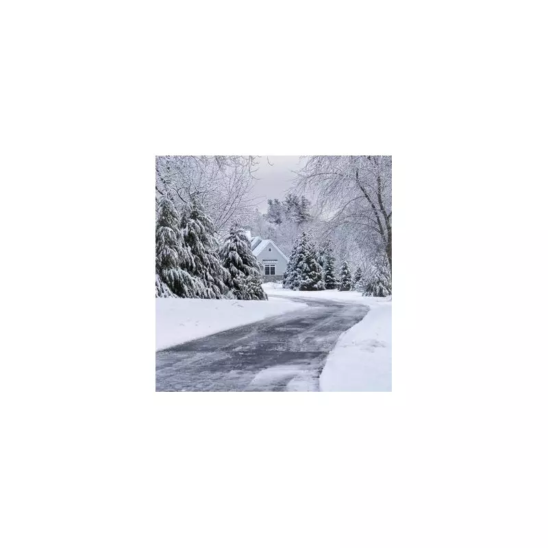 Aldi's £2 Cat Litter Hack to Stop Slippery Driveways This Winter