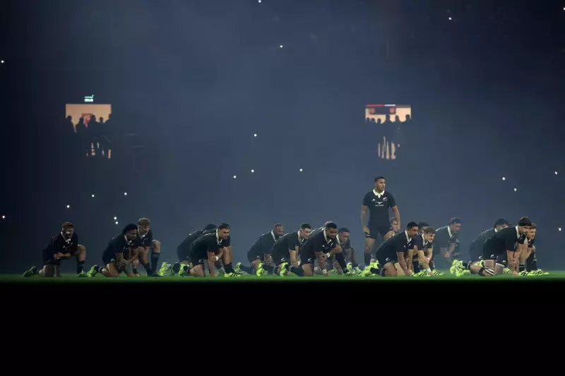 All Blacks Set Strict Criteria for New Head Coach as Search Commences