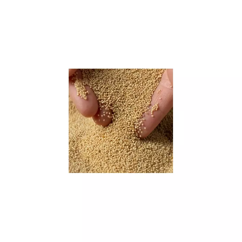 Amaranth: The Ancient 'Immortality Grain' Packed with Protein & Fibre