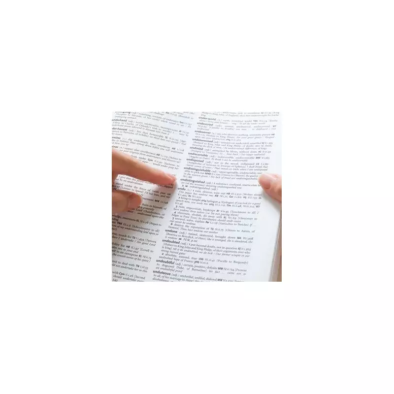 American Seeks Dictionary Clarification on Baffling British Word 'Goon'