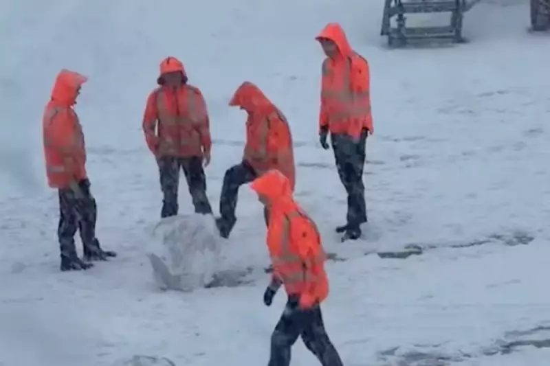 Amsterdam Schiphol Staff Snowball Fight Amid 5-Day Flight Chaos