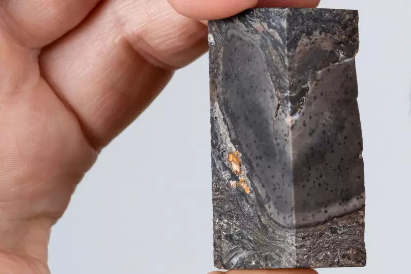 Ancient 410-Million-Year-Old Fossil of Extinct Life Form to be Displayed in Edinburgh