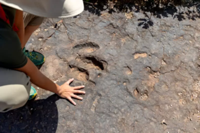 Ancient Dinosaur Footprints Discovered on South Africa's Coast Rewrite History