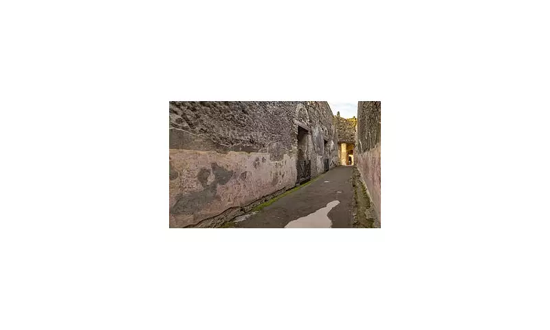 Ancient Pompeii Graffiti Reveals Roman Life's Uncanny Parallels to Modern Times