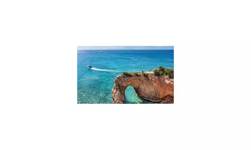 Anguilla's .ai Domain Nets £141m as AI Boom Transforms Caribbean Territory