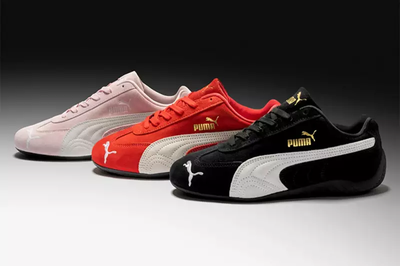 Anta Sports Acquires Major Puma Stake in $1.8 Billion Strategic Move