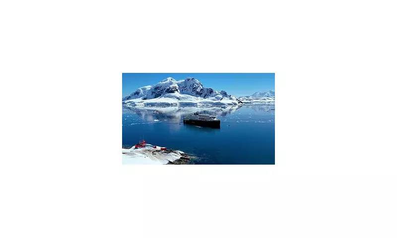 Antarctic Expedition Cruise: A Journey to Earth's Last Great Wilderness