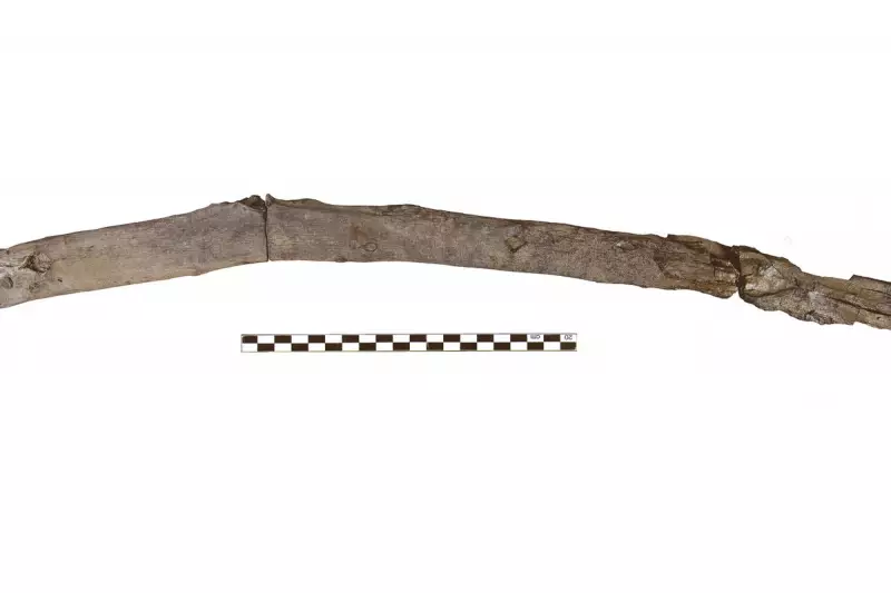 Archaeologists Unearth World's Oldest Wooden Tools in Greek Lake Basin