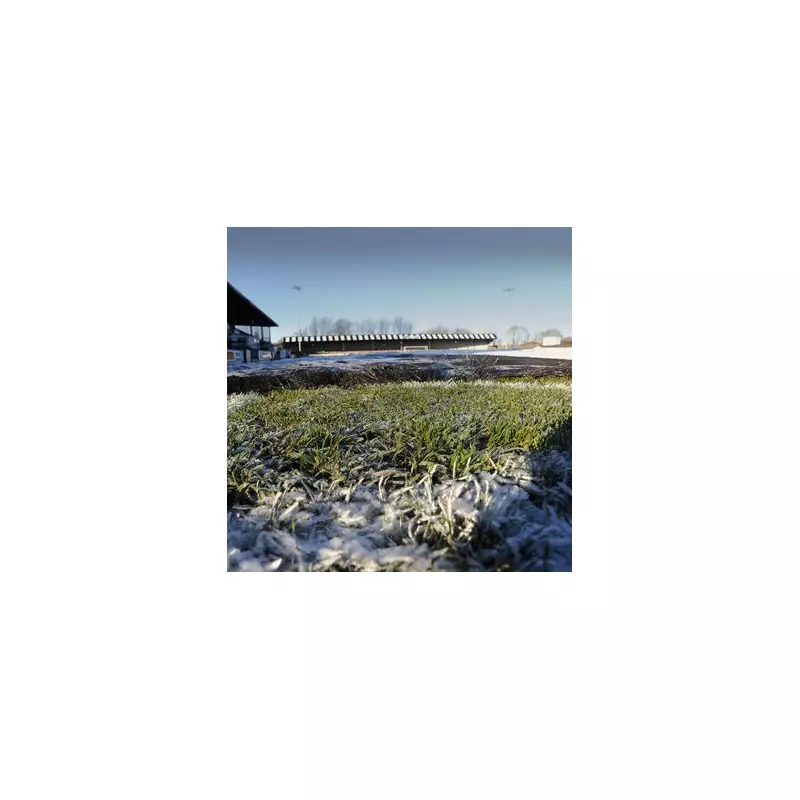 Arctic Blast Halts Football Fixtures as Met Office Issues New Weather Warnings