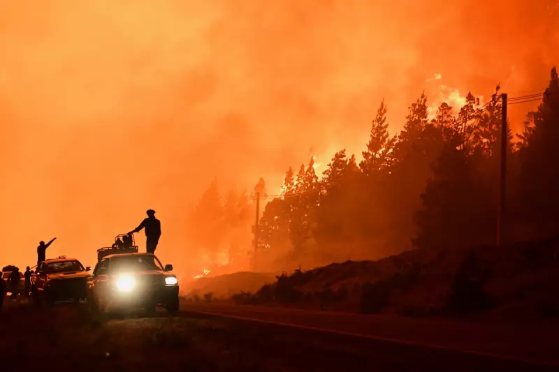 Argentina's Patagonia Wildfires Ravage 12,000 Hectares, Threaten Communities