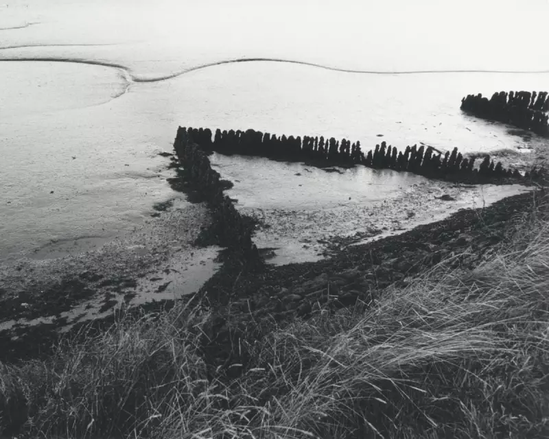 Art Weekly: Emin's Melancholy, Sebastian's Secrets & Bull's Shrinking Anatomy