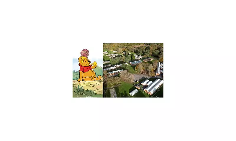 Ashdown Forest: Pooh's 100th Year Clashes with Asylum Seeker Row