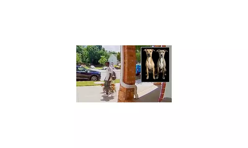 Atlanta Police Hunt Suspect After Dogs Strangled and Abused in Parking Garage