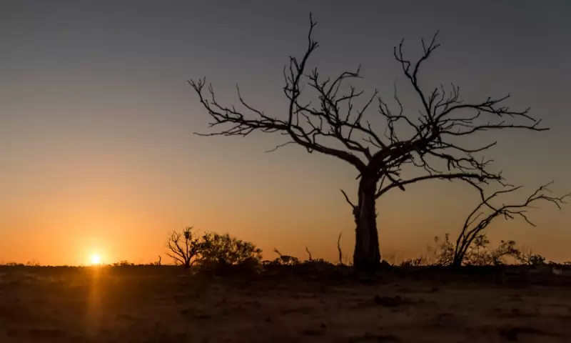 Australia Braces for Historic 50C Heatwave as Records Set to Tumble