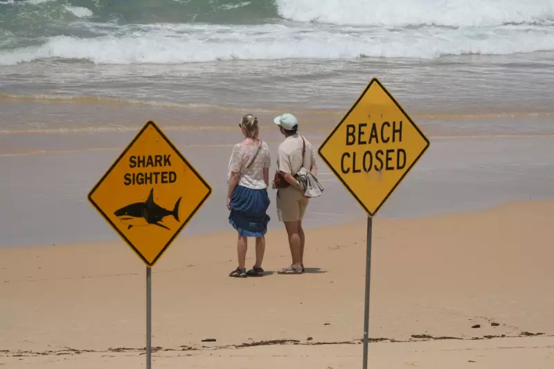 Australia Closes Dozens of Beaches After Fourth Shark Attack in 48 Hours