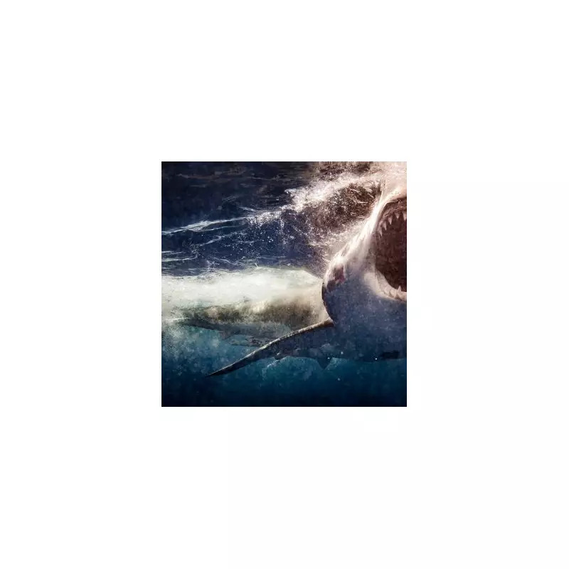 Australian Surfer Killed by 'Car-Sized' Great White Shark in Front of Friends