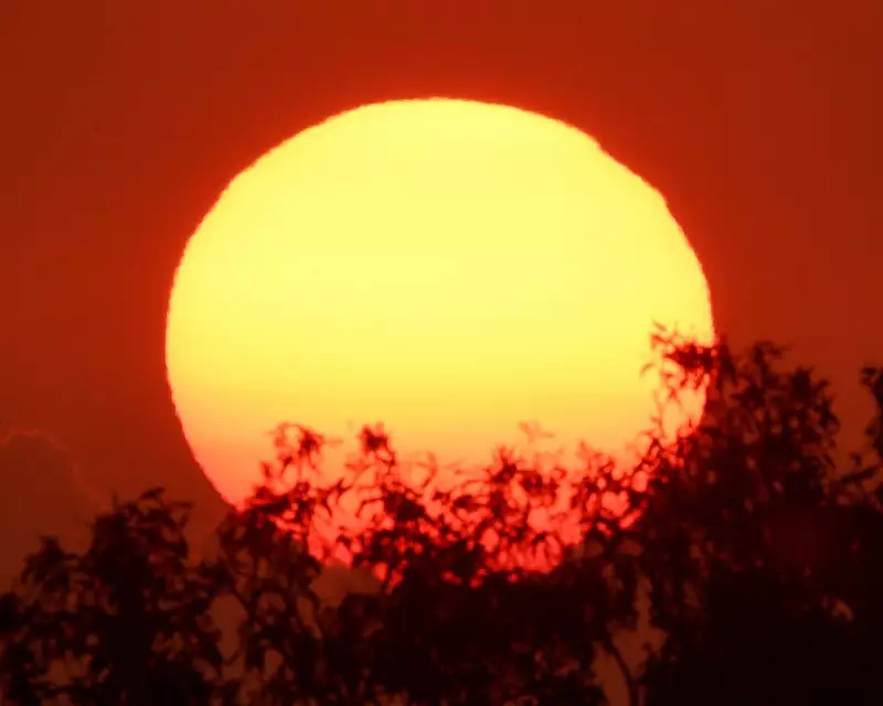 Australia's Most Severe Heatwave Since Black Summer Hits Southern States