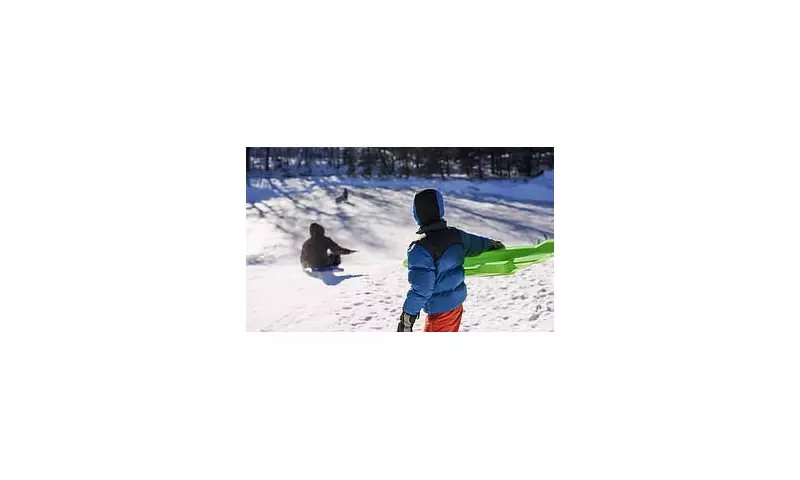 Austrian Alps Toboggan Tragedy: Man Dies, Wife Critical After 250ft Fall