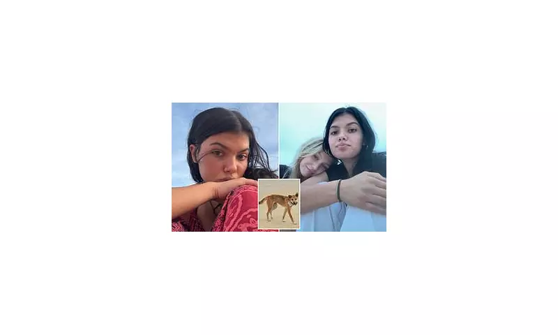 Autopsy Reveals Dingo Bites on Canadian Teen Found Dead on K'gari Island