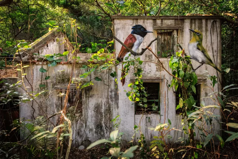 Avian Art Transforms Hong Kong's Lantau Island with Migratory Bird Murals