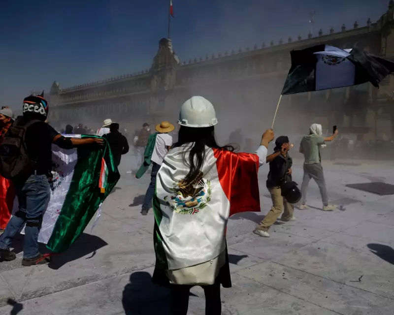 Avocado's Dark Truth: Violence & Land Theft in Mexico's Michoacán