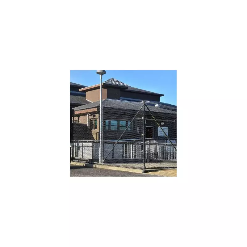 Baby 'Not Likely to Survive' as Father Charged with Abuse Granted Bail