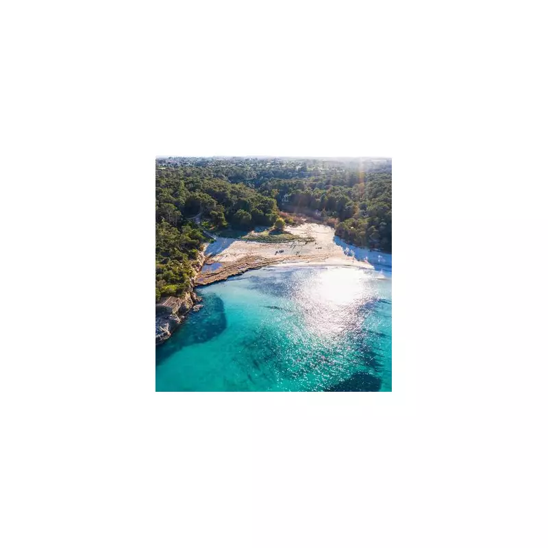 Balearic Beaches Face Doubling of Faecal Contamination, Report Warns