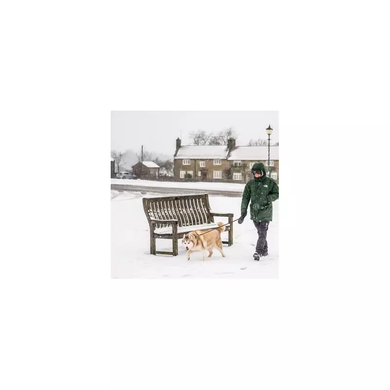 Beast from the East Alert: 7 UK Counties Face Major Snow Blitz Next Week