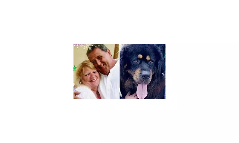 Berwick Couple and Dog Killed in A1 HGV Crash, Man Arrested