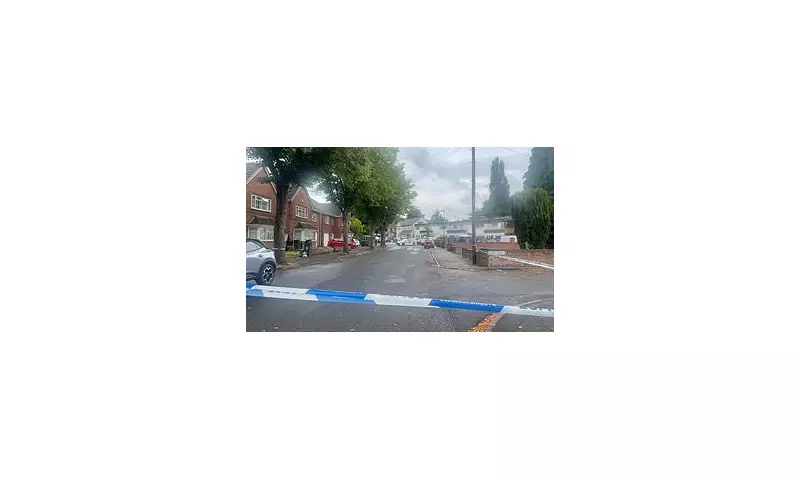 Birmingham Delivery Driver Pleaded 'Don't Kill Me' in Savage 29-Stab Knife Attack