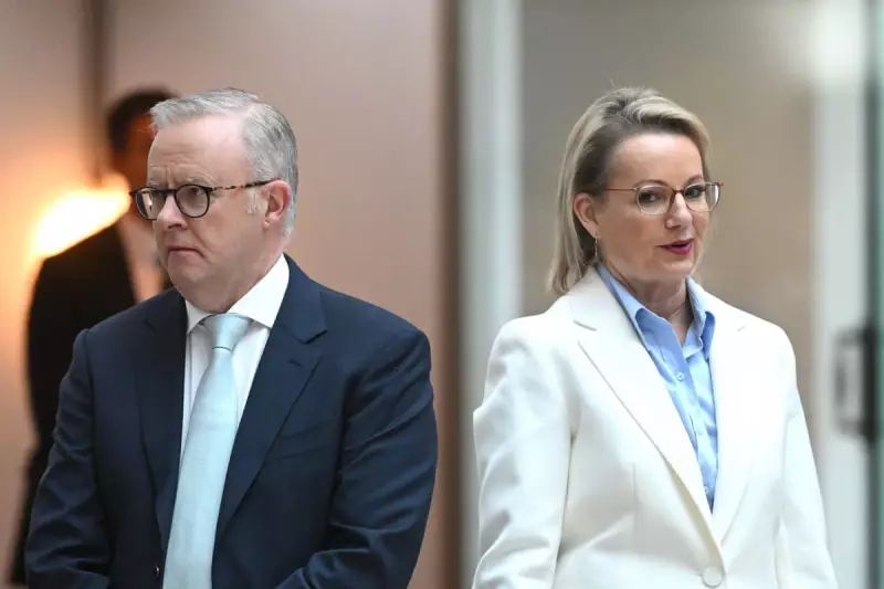 Bondi Aftermath: How Hasty Laws Expose Albanese and Ley