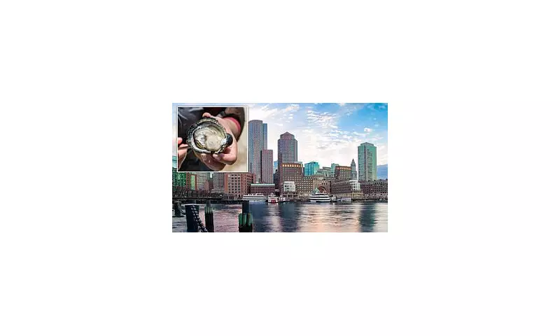 Boston Harbor Shellfishing Reopens After Century-Long Ban Lifted