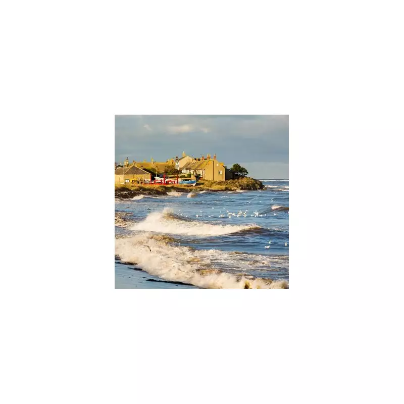 Boulmer: Northumberland's Timeless Fishing Village With Blue Boats & Smuggling Past