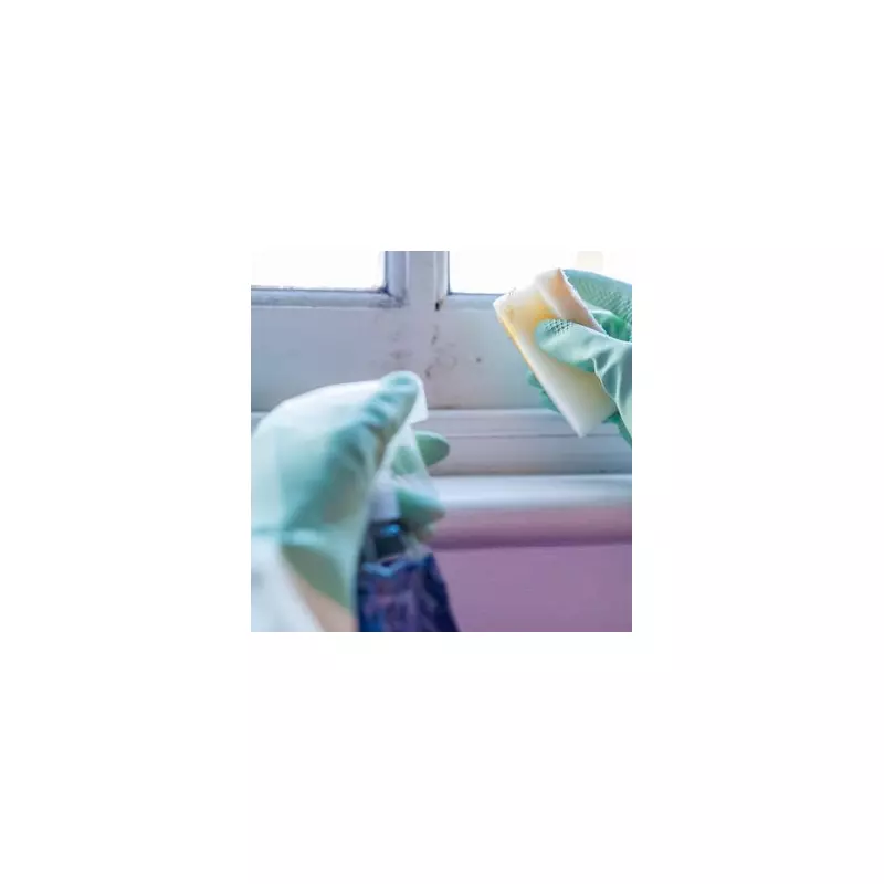 B&Q's 35p Mould Removal Hack: Expert Tips for Walls, Fabric & Furniture