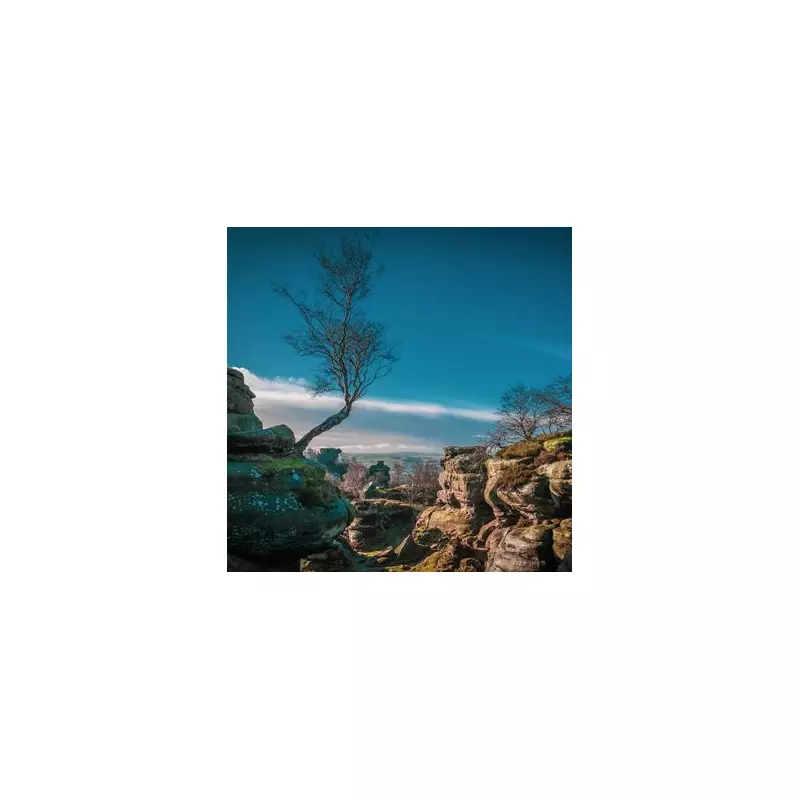 Brimham Rocks: Yorkshire's 320-Million-Year-Old Natural Marvel