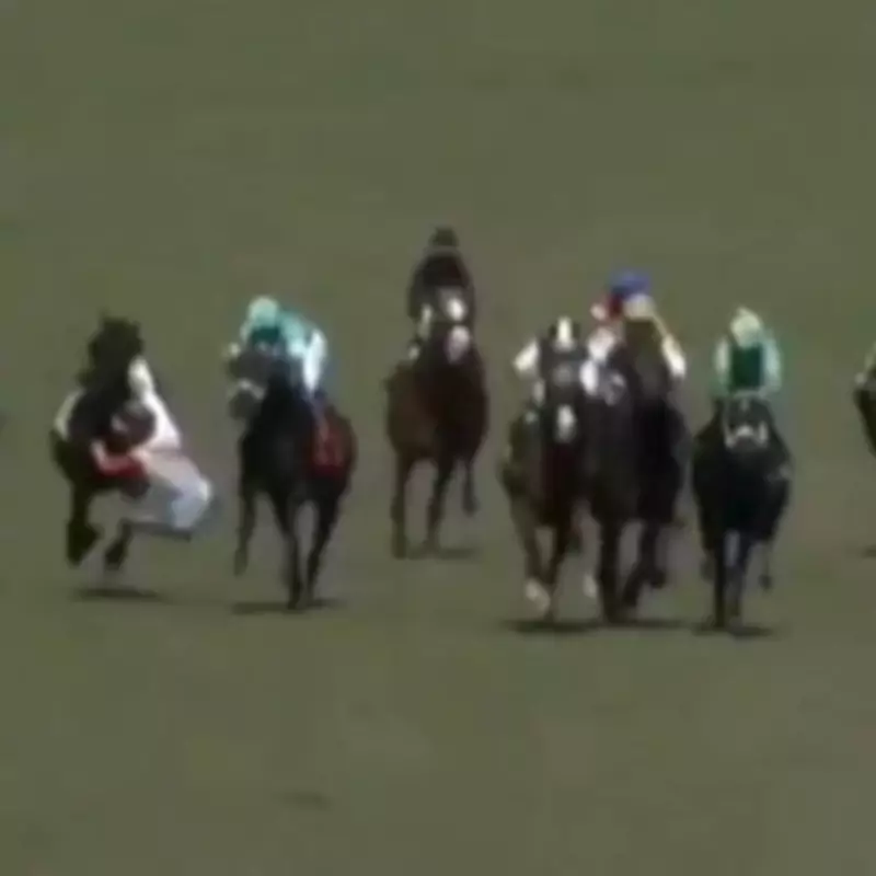 British Jockey David Egan Takes Heavy Fall After Mid-Race Horse Collision at Gulfstream Park