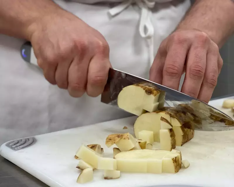 C-200 Ultrasonic Knife Review: A 30,000 Vibration Per Second Chef's Tool