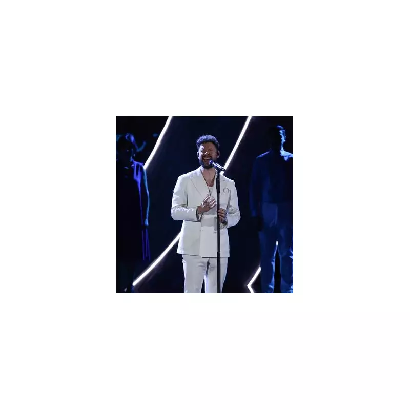 Calum Scott's Cape Town Concert Interrupted by Praying Mantis Stage Invasion