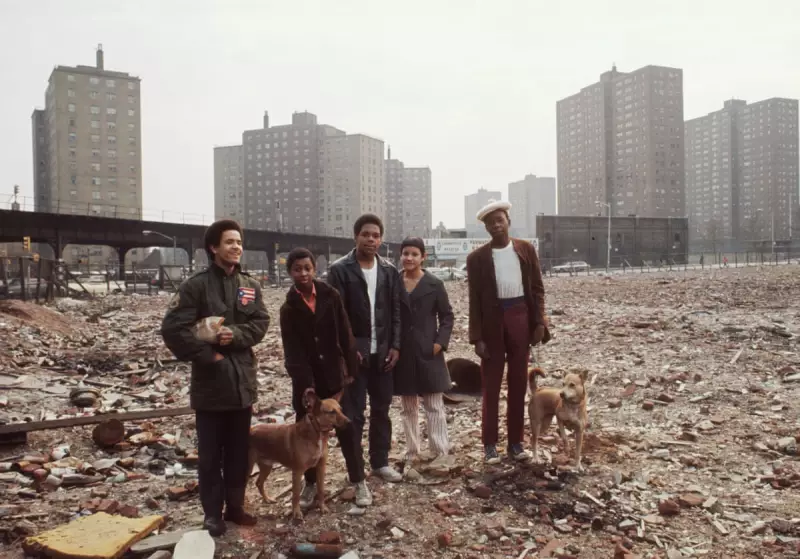 Camilo José Vergara's Bronx Dog Walkers: A 1980s New York City Portrait