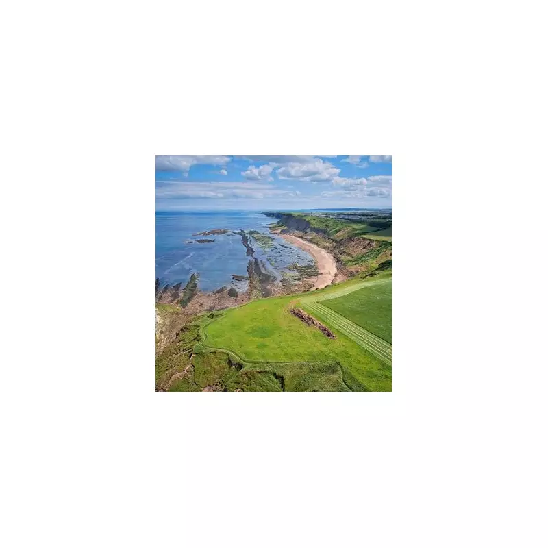 Cayton Bay: Yorkshire's Hidden Coastal Gem With Golden Sands & Jurassic Cliffs