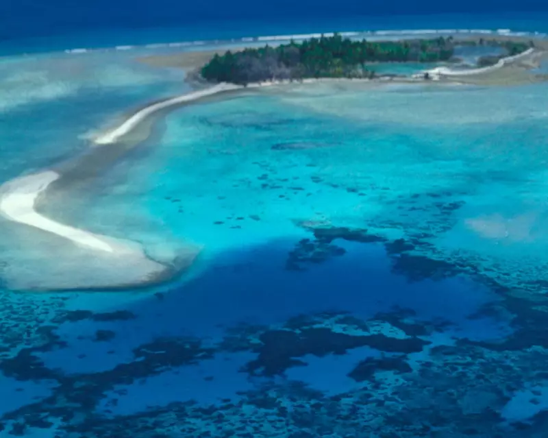 Chagos Islands' Pristine Ecology Faces Threat from Mauritian Exploitation Plans