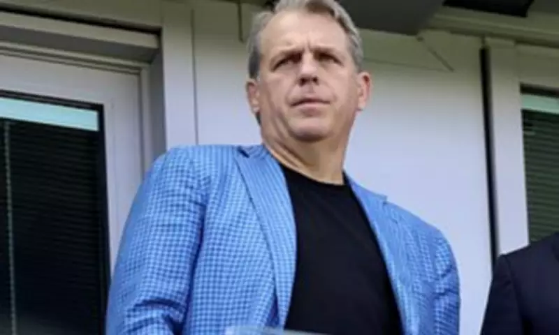 Chelsea Owner Boehly's 2011 Business Meetings with Epstein Revealed in DOJ Emails