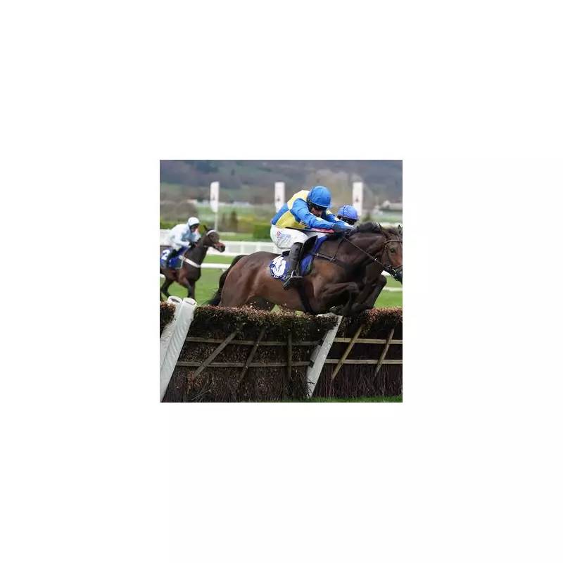 Cheltenham Festival Legend Langer Dan Dies Suddenly from Heart Condition