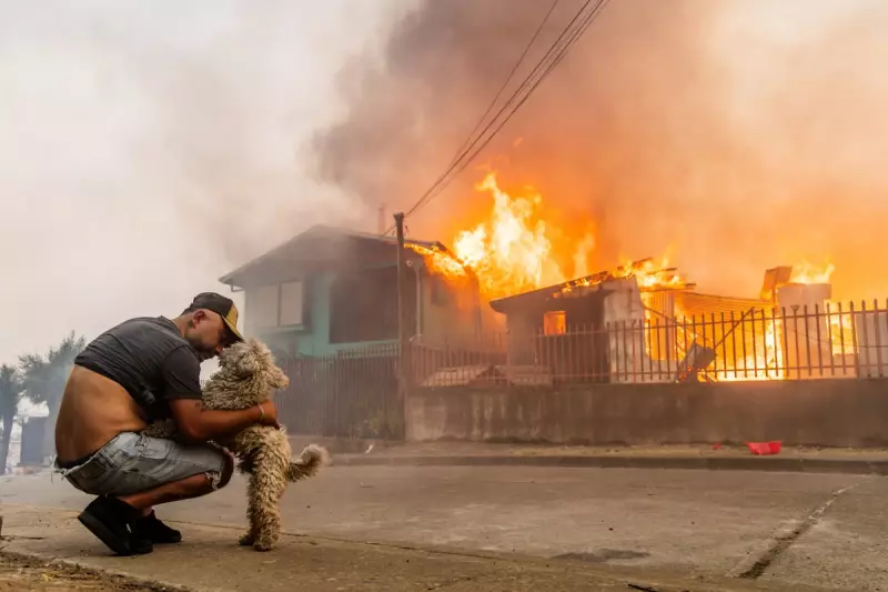 Chile Wildfires: 19 Dead, State of Catastrophe Declared